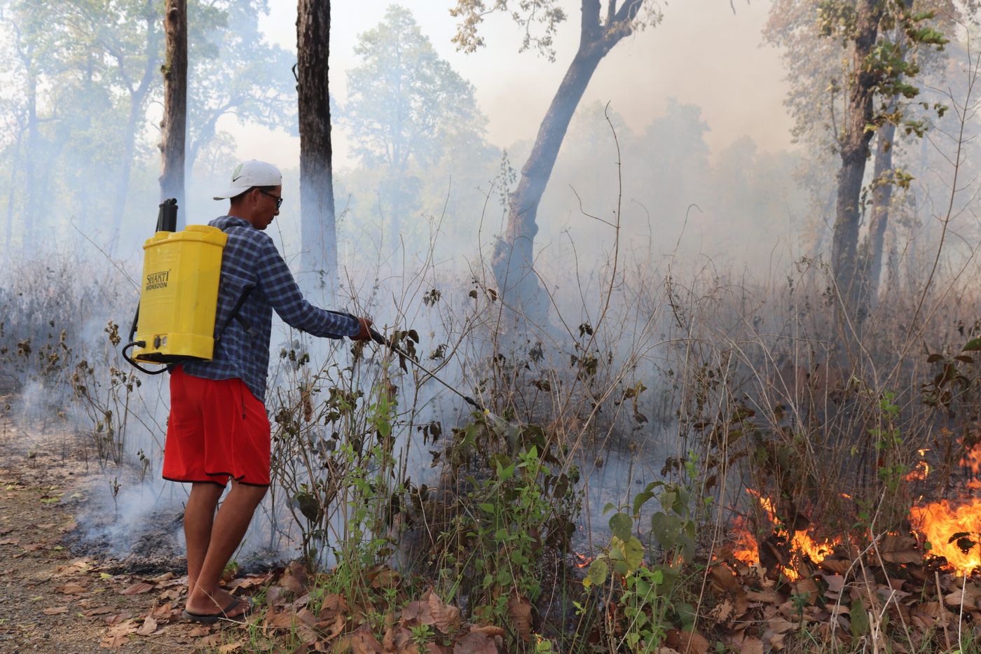 Awareness campaign on forest fire prevention and control organized in Nawalpur district.JPG