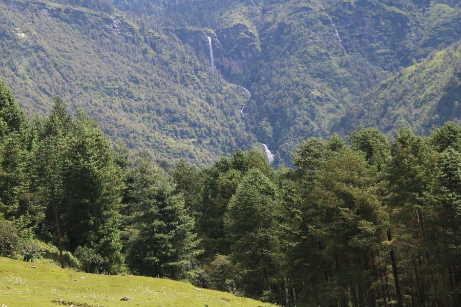 Expanding FSC certification at landscape-level through incorporating additional eco-system services