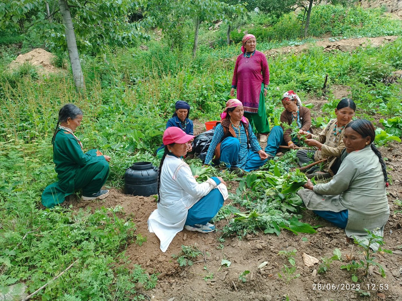 The women group of Kharpunath Rural Municipality, Humla preparing Jholmol (A biopesticide to control insects and pest).