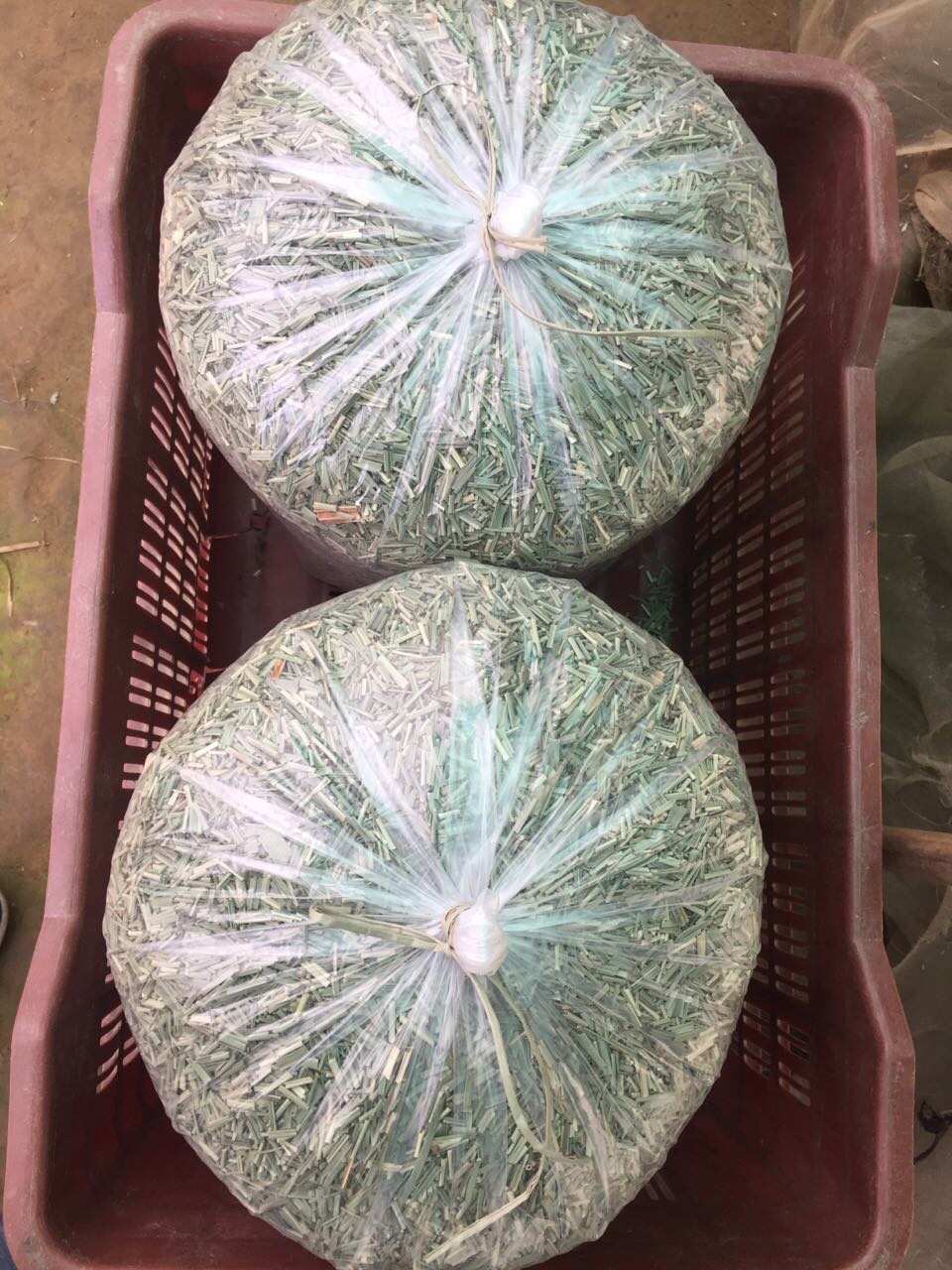 Dried and packed lemongrass.