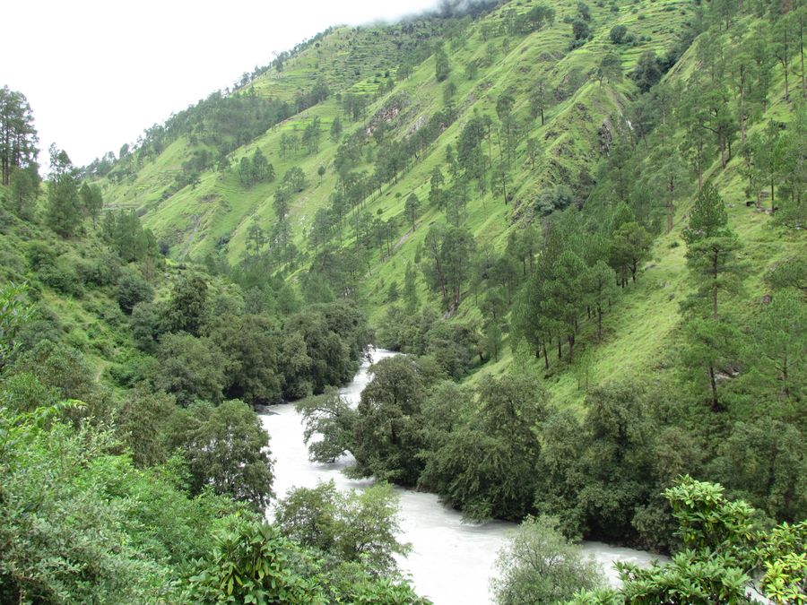 Design and setting up of a governance and payment system for Nepal’s community forest management under Reduced Emission from Deforestation and Degradation (REDD) – Phase II