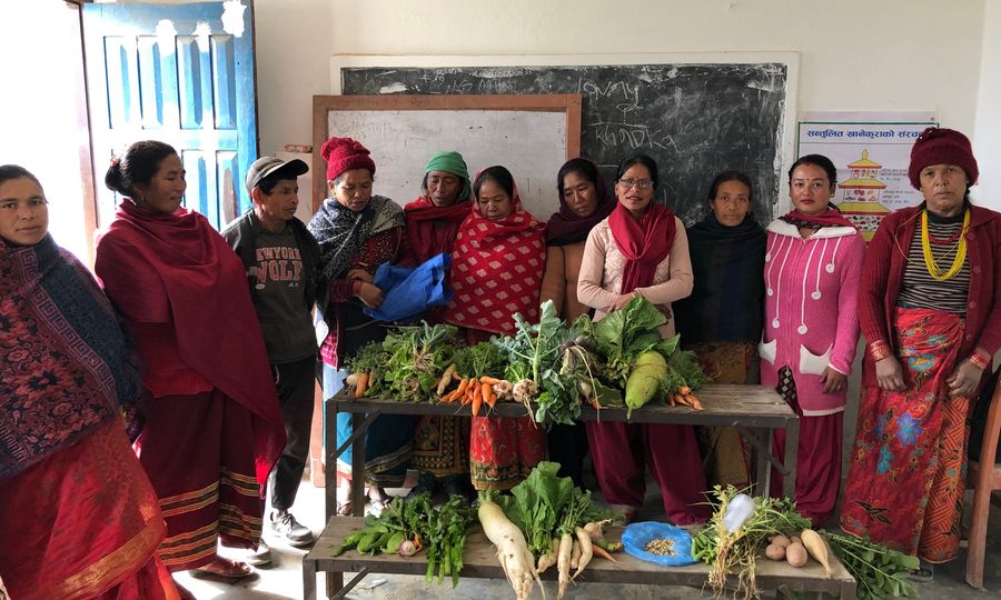 Nudging children toward healthier food choices: An experiment combining school and home gardens
