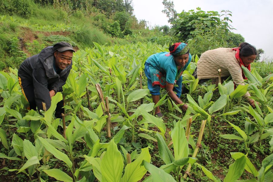 Public-Private-Community-Alliance for Sustainable Natural Products-based Enterprises and Local Economic Development, Phase II