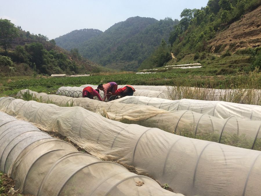 Resilient community development: Natural resources stewardship for community development