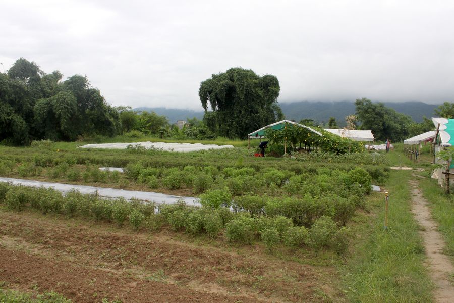 Similar Projects