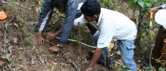Establishing sample plots in Ludikhola watershed